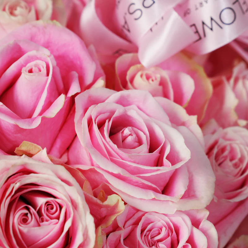 500 Pink Roses Basket