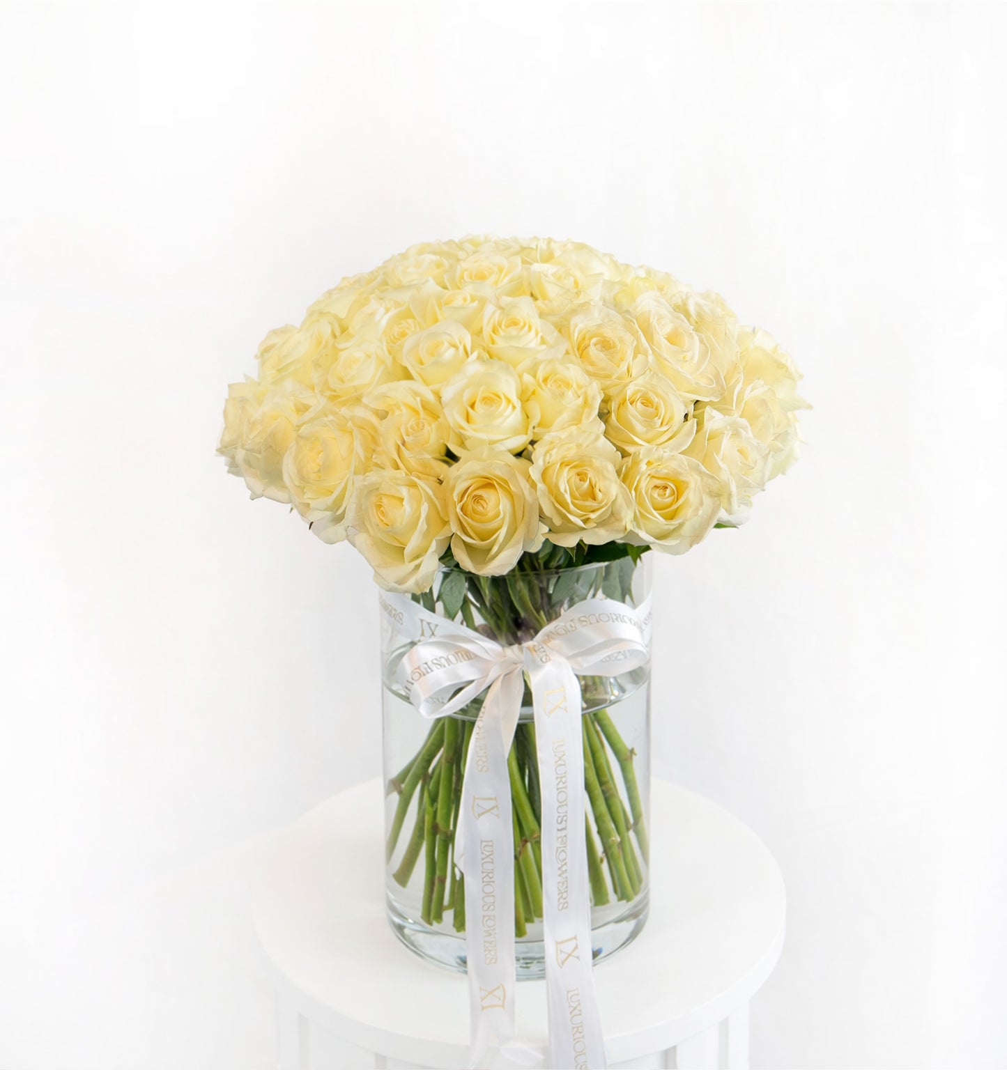 50 white roses in a clear vase on a white background