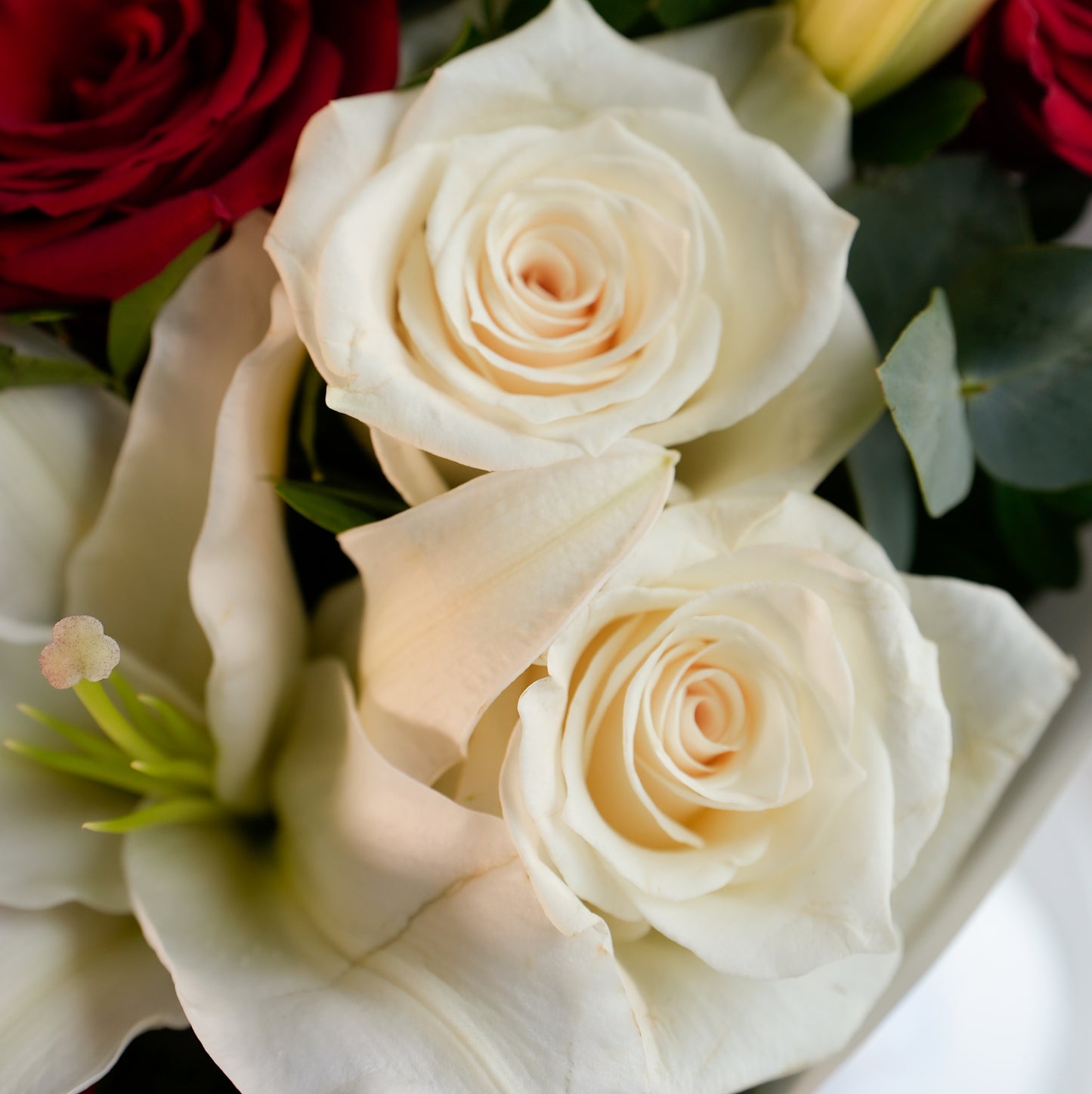 A luxury hand-tied bouquet featuring red roses, white roses, and white lilies in a cream pleated designer wrap with a Luxurious Flower ribbon.