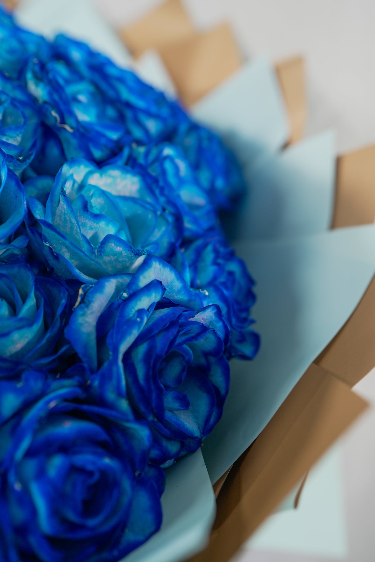 100 Blue Roses Bouquet – Luxury Floral Gift