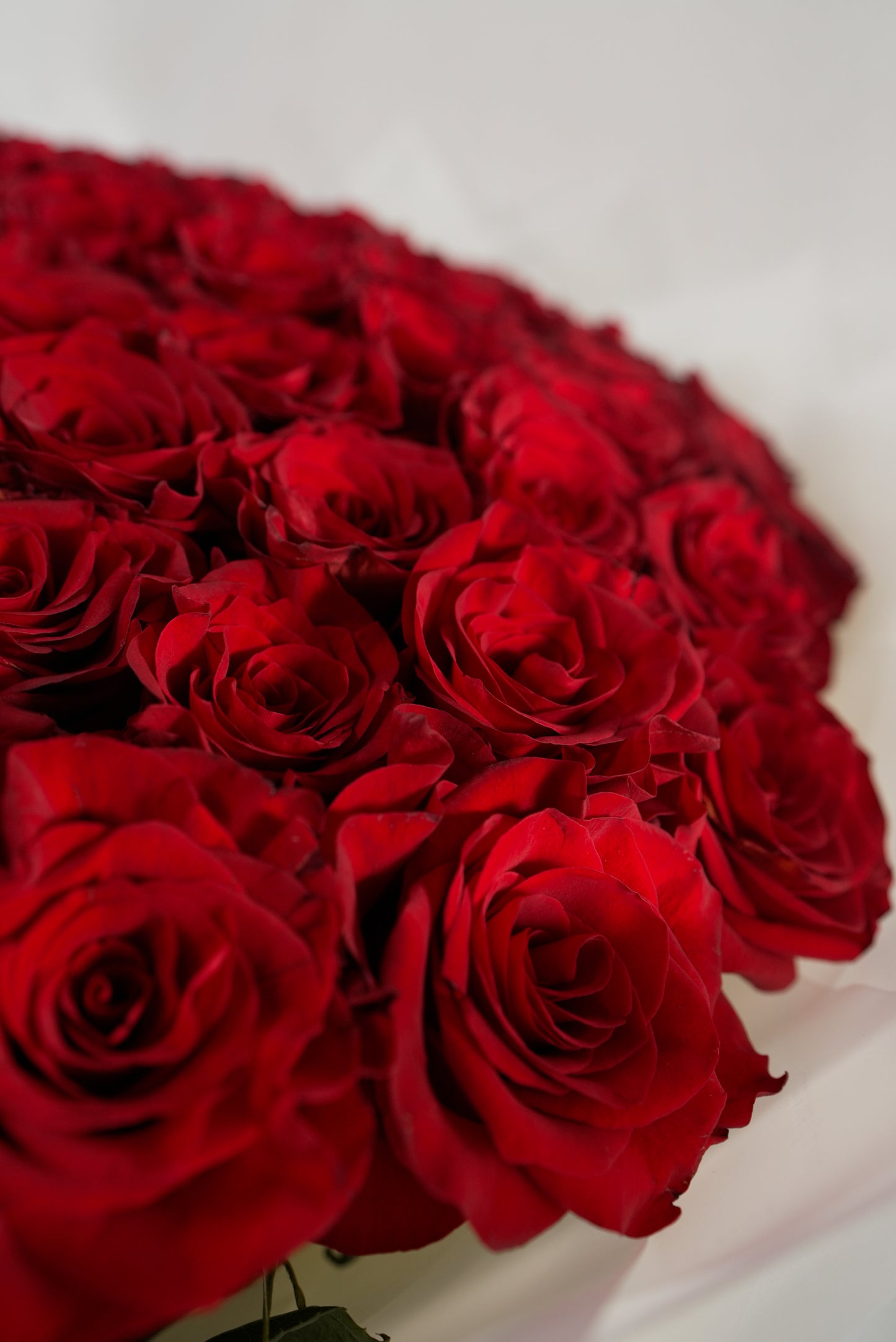 100 Premium Red Roses Bouquet