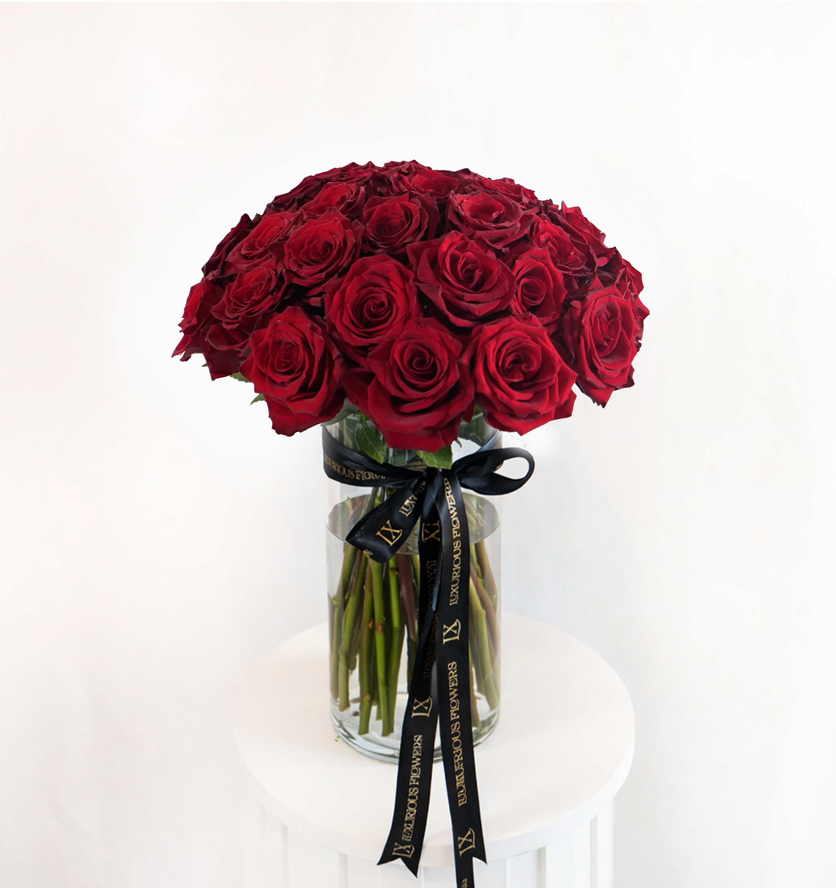 50 red roses in a clear vase with a black ribbon on a white background
