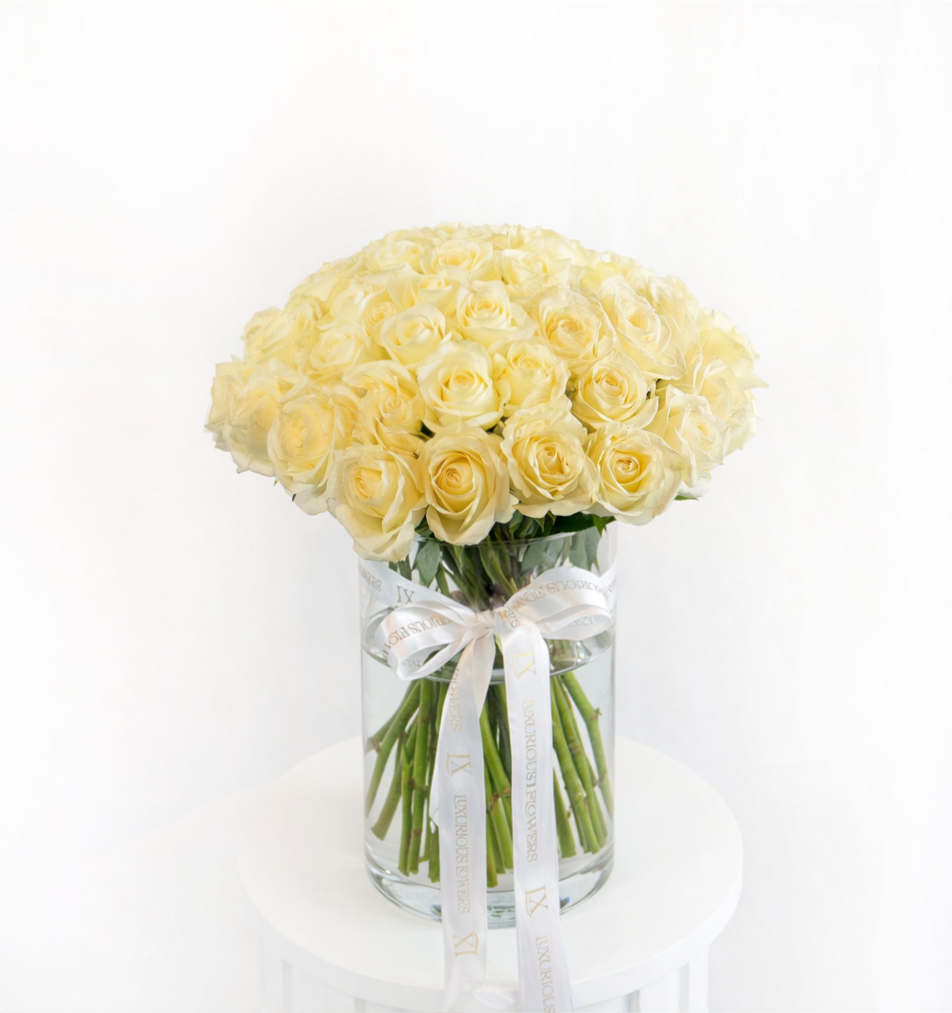 50 white roses in a clear vase on a white background
