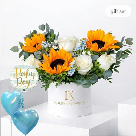 Baby Petite Skylight (Gift Set)