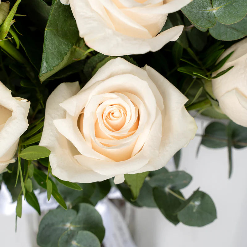 Close-up of a bouquet of white roses with green leaves on a light background