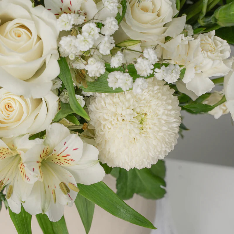 Serenity White (Welcome Back Gift Set)
