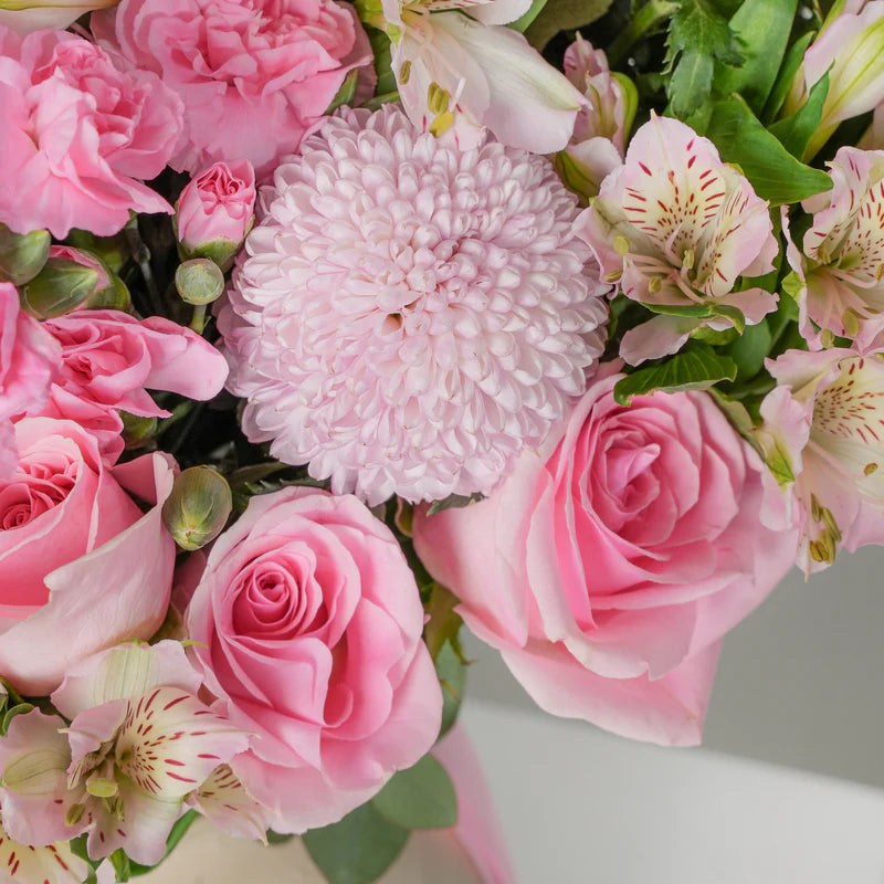 Serenity Pink (Welcome Back Gift Set)