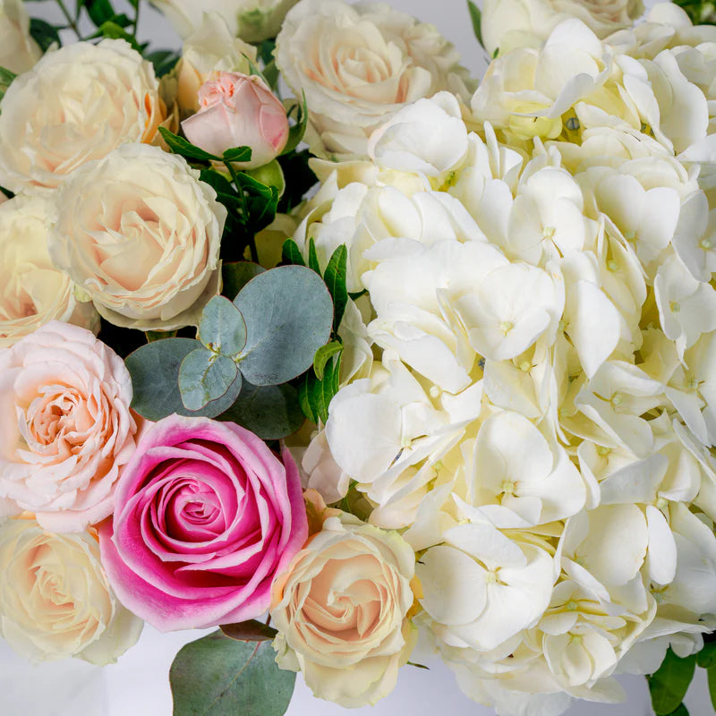 Petite White Florence Hatbox