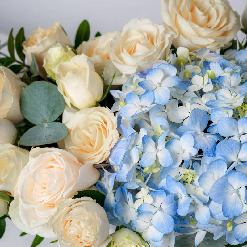 Petite Pastel Florence Hatbox