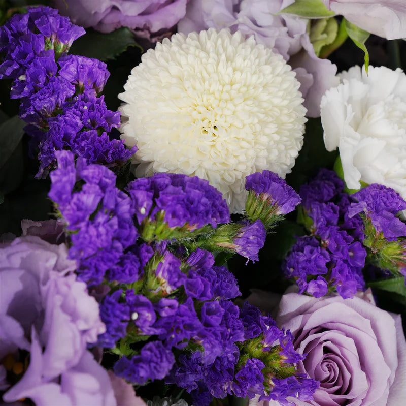 Baby Petite Lilac (Gift Set)