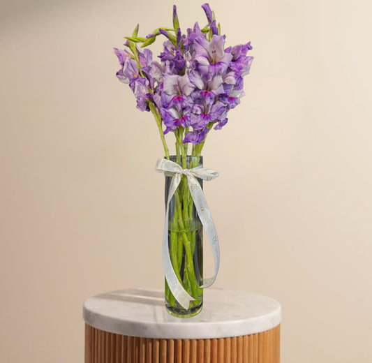 Gladiolus galore