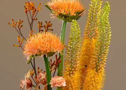 Floral Bouquet in Vase 