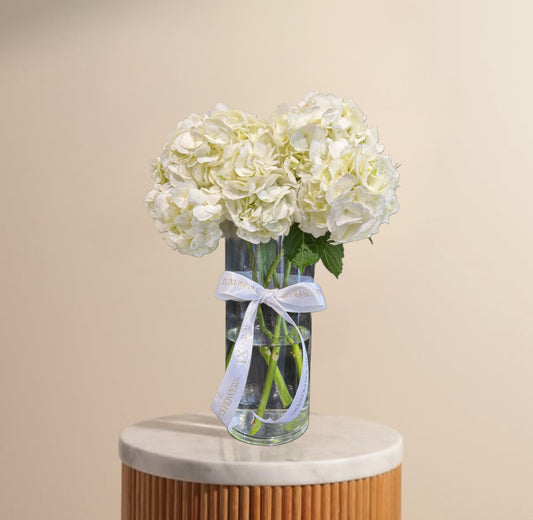 Snowy white elegance