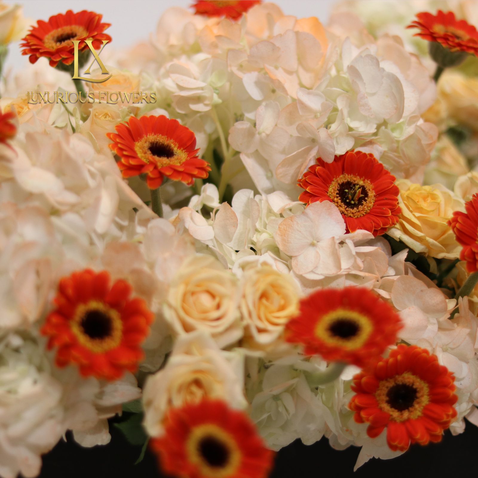  Rose | Flower Box Same-day Delivery 