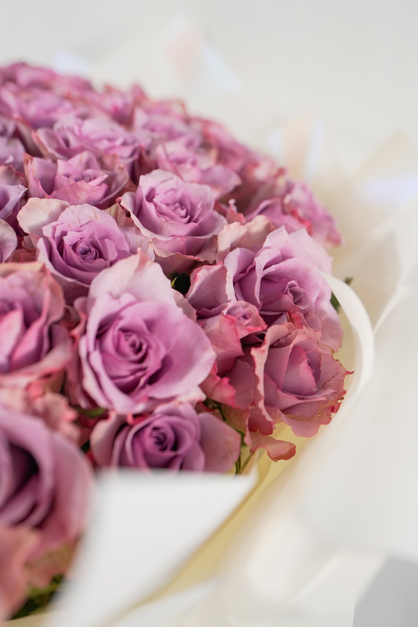 Detailed view of antique mauve rose petals in a 100-stem arrangement for sale in Dubai