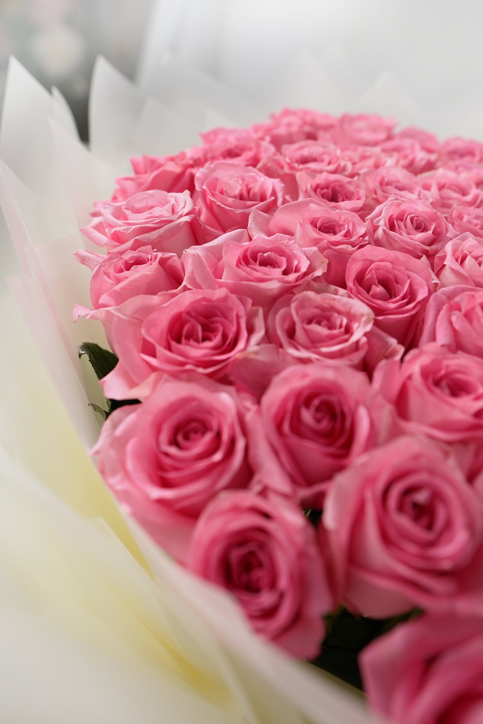 Large arrangement of 100 soft blush pink roses in premium white wrapping for sale in dubai