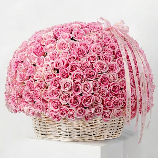 500 Pink Roses Basket