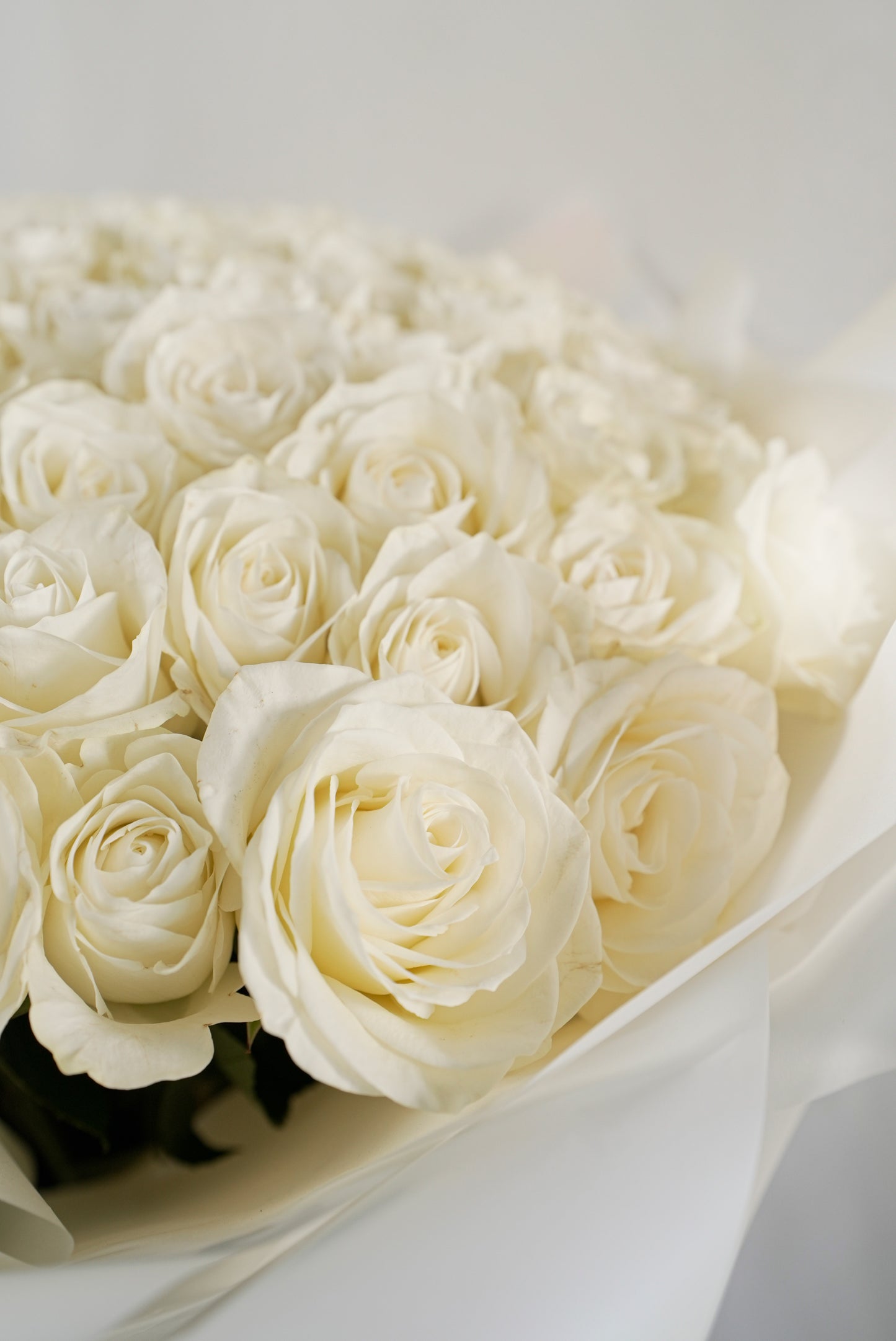 Grand 100 white rose hand bouquet for luxury wedding or event for sale in Dubai