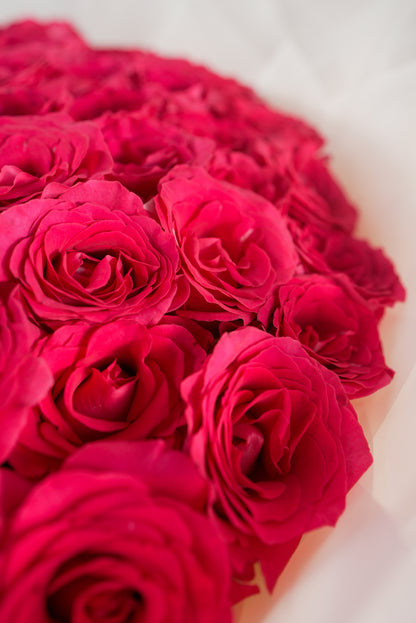 premium-100 fuchsia-roses-glamorous-gift for sale in dubai