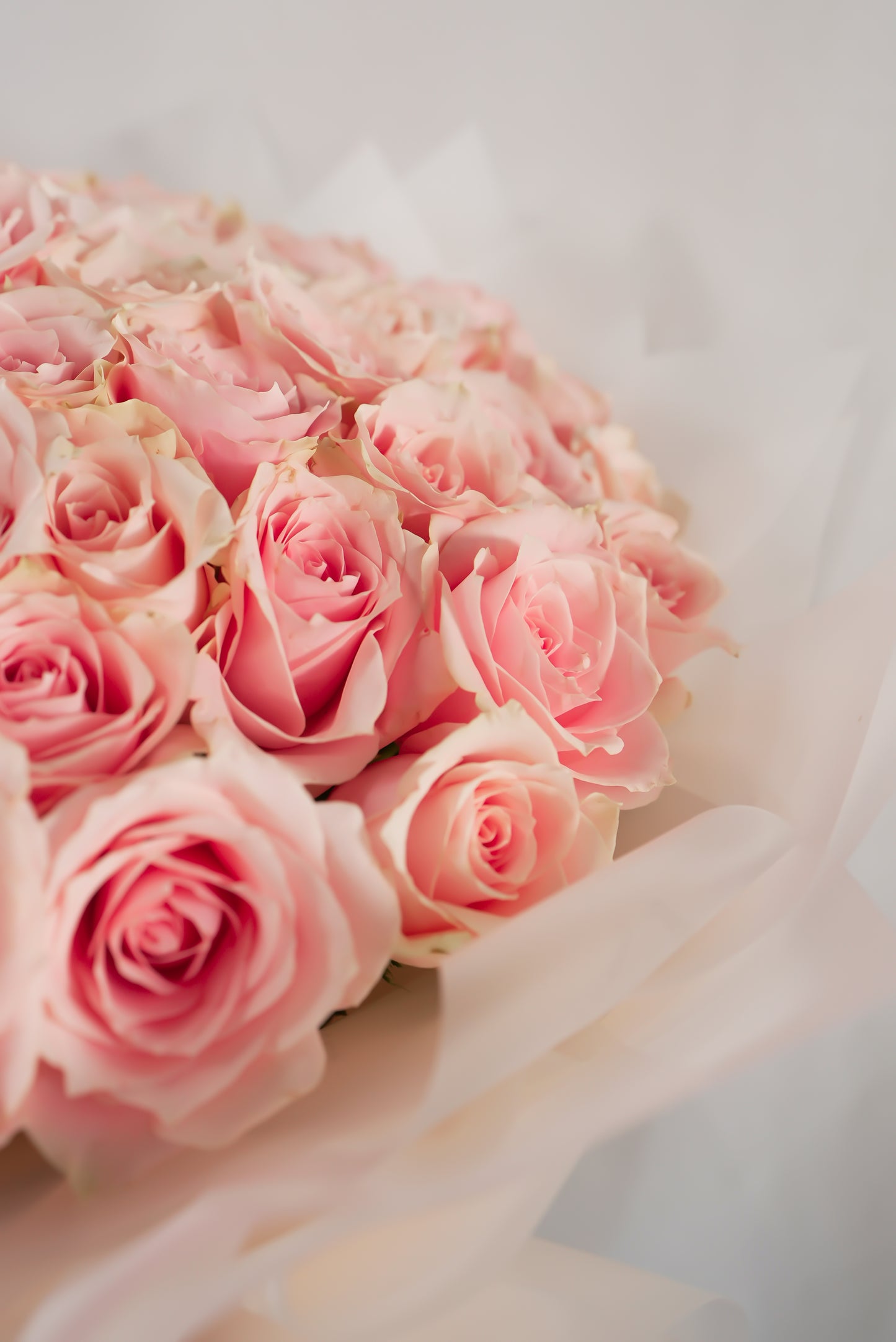 close-up Detailed view of soft apricot rose petals in a 100-stem arrangement