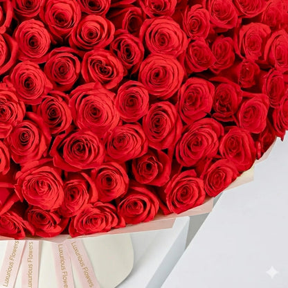 365 Red Roses