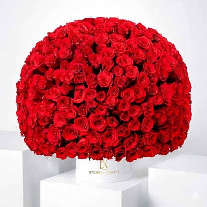 365 Red Roses Hatbox