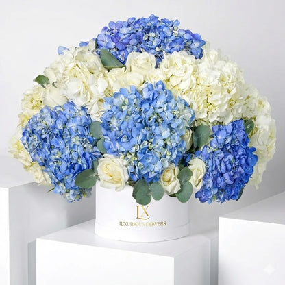 Heavenly Blues Hatbox