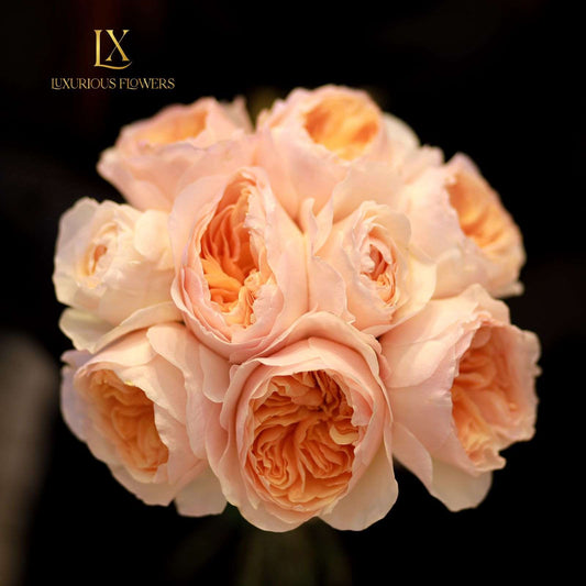 What if ? - Luxurious Flowerssimple