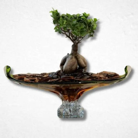 Bonsai With Vase - Luxurious Flowerssimple
