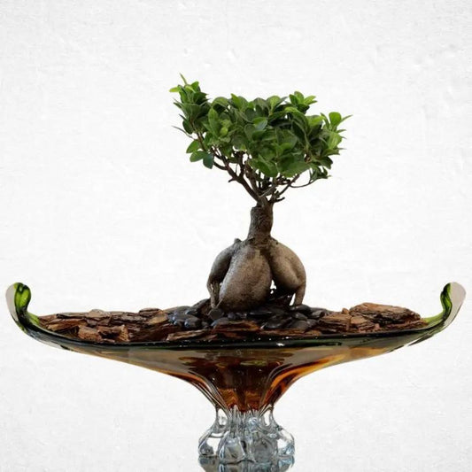 Bonsai With Vase - Luxurious Flowerssimple