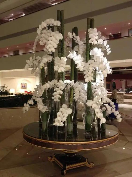 White Orchid Design hotel decoration style - Luxurious Flowerssimple